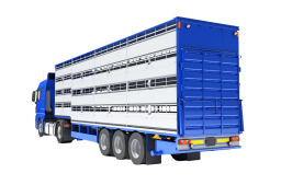 camion jaulas ganado
